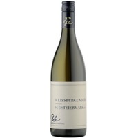 Weingut Erich & Walter Polz Weißburgunder DAC Steiermark