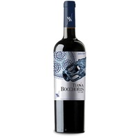 Tianna Bocchoris Negre Tinto