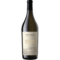 Altolago Pinot Grigio Vigneti delle Dolomiti IGP