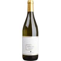 Silei Bianco Toscana IGT - Terrescure