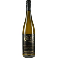 Sauvignon Blanc trocken - Weingut Ellbrück
