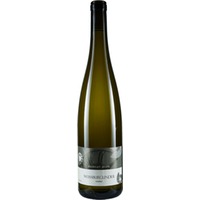 Weissburgunder trocken - Weingut Jeger