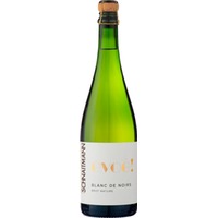 Evoé! Blanc de Noirs 24 Monate Hefelager brut nature Bio - Weingut Schnaitmann