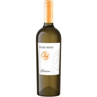 Musica Falanghina Campania IGP trocken - Vigne Irpine
