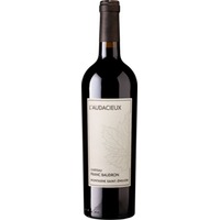 L'Audacieux de Franc-Baudron Montagne-Saint-Emilion AOP trocken Bio - Château Franc-Baudron