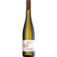 Lorenz Sauvignon Blanc Punktlandung, Trocken, Nahe, Nahe, 2024, Weißwein