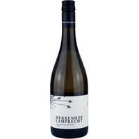Sauvignon Blanc Silt & Kies Lamprecht