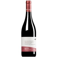 "Regnante" Perricone Sicilia DOP (BIO)