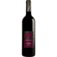 Cabernet Sauvignon Friuli Colli Orientali DOC trocken - Roberto Scubla
