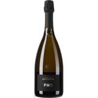 Champagne PN TX 20 Blanc de Noirs Brut in Geschenkpackung Flaschengärung