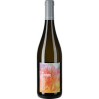Chardonnay Aurore