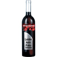Bodegas San Martin de Unx Goanail Cuvee aus 70 Proz. Garnacha Tinta, 30 Proz. Tempranillo