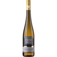 Spreitzer Buntschiefer Riesling