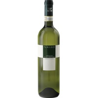 Vernaccia di San Gimignano DOCG trocken Bio - Panizzi