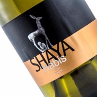 Shaya Habis