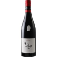 Raul Perez Ultreia Valtuille Mencia