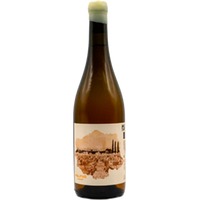 Soca-rel Politxó Blanc Evolució