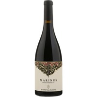 Il Conte Villa Prandone Marinus Rosso Piceno Superiore Dop 0.75 L Flasche