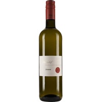 Silvaner trocken Bio - Weingut Patrizierhof