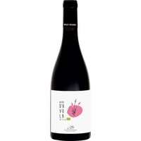Nero d’Avola DOC Sicilia trocken Bio - Baglio Ingardia