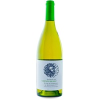 Waterkloof Seriously Cool Chenin Blanc