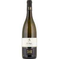 Pinot Bianco