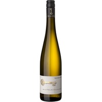 Sauvignon Blanc Premium trocken - WeinPalais Nordheim