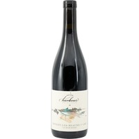 Savigny-lès-Beaune 1er Cru - La Dominode
