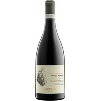Pinot Noir Terroir d'Altitude - Fortant de France