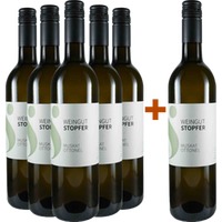 5+1 Paket Muskat Ottonel BIO - Weingut Martha & Franz Stopfer