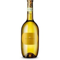 Gavi