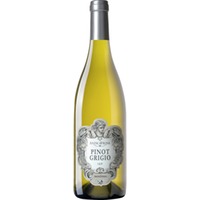 Antica Vigna Pinot Grigio, Delle Venezie DOC, Venetien, 2024, Weißwein