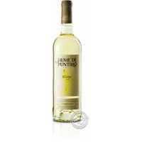 Jaume de Puntiro Blanc, Vino Blanco 2024, 0,75-l-Flasche