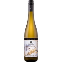 Sauvignon Blanc trocken Bio - 1616 Pfaffmann Heinz Stiftung