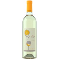 Pinot Grigio Superiore Friuli Aquileia DOC - Foffani