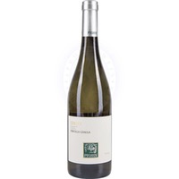 Ribolla Gialla Collio DOC Pighin
