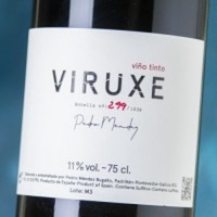 Pedro Méndez Viruxe