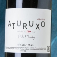 Pedro Méndez Aturuxo
