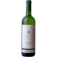 Trasparenza Colli Berici DOC trocken - Punto Zero