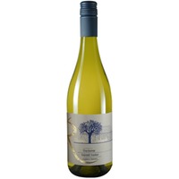 Ungsteiner Osterberg Chardonnay trocken - Weingut Thomas Reinhardt