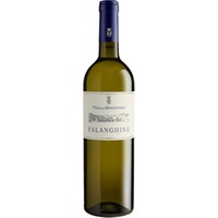 Falanghina Puglia IGP trocken - Villa Schinosa