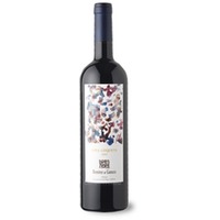Viña Coqueta Reserva