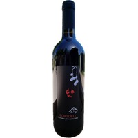 Borsolo Ravenna IGP BIO - Bulzaga