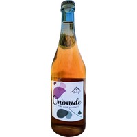 Ononide Rosè Ancestrale BIO - Bulzaga