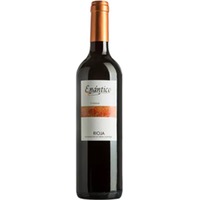 Enántico Crianza Rioja DOCa trocken - Viñedos y Bodegas Lyng
