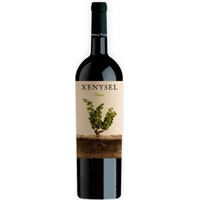 Xenysel Organic Jumilla DO trocken Bio - Viñedos y Bodegas Xenysel