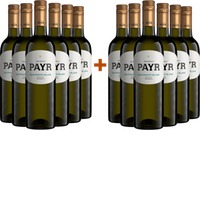 6+6 Sauvignon Blanc Selection ÖTW Gutswein Bio BIO - Weingut Payr