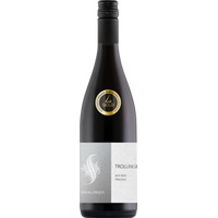 Trollinger alte Rebe trocken Bio - Weingut Schmalzried