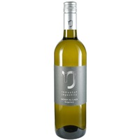 Grüner Veltliner trocken - Remushof Jagschitz