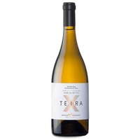 Teira X